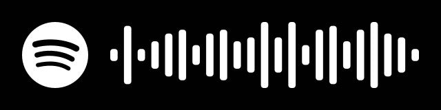 🎵 Breloc Spotify Personalizat