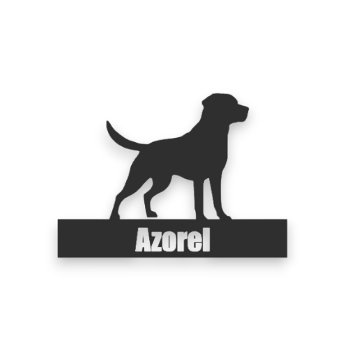 🏆 Artă 2D – Trofeu Cațel