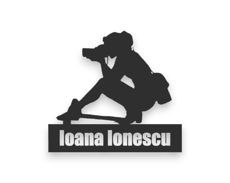 🏆 Artă 2D – Trofeu Fotograf
