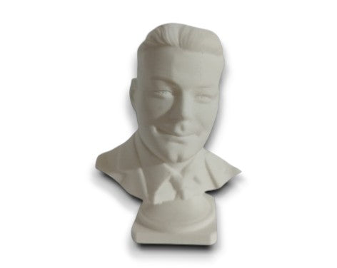 Statuie/Bust 3D personalizat
