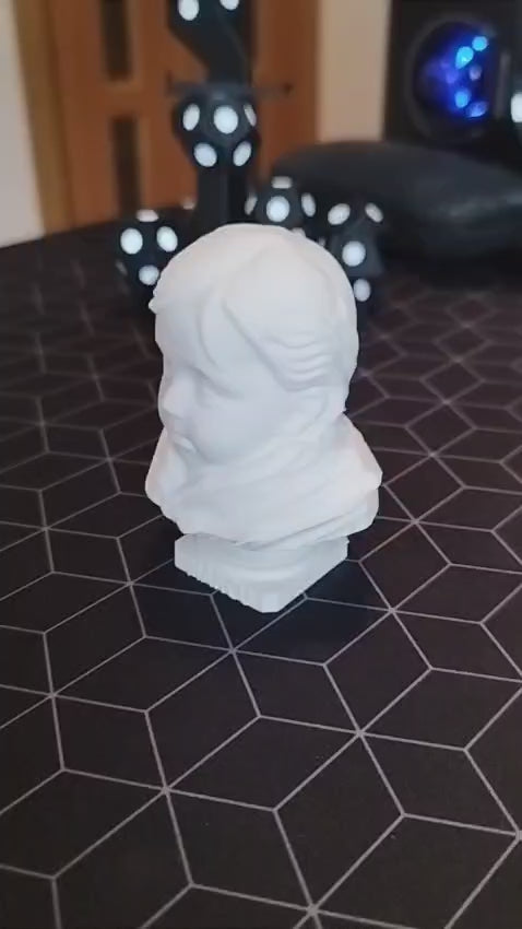 Statuie/Bust 3D personalizat