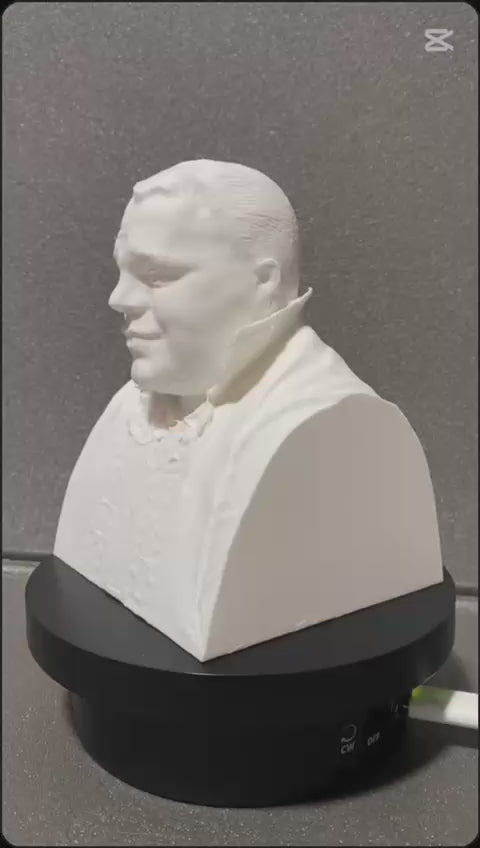 Statuie/Bust 3D personalizat